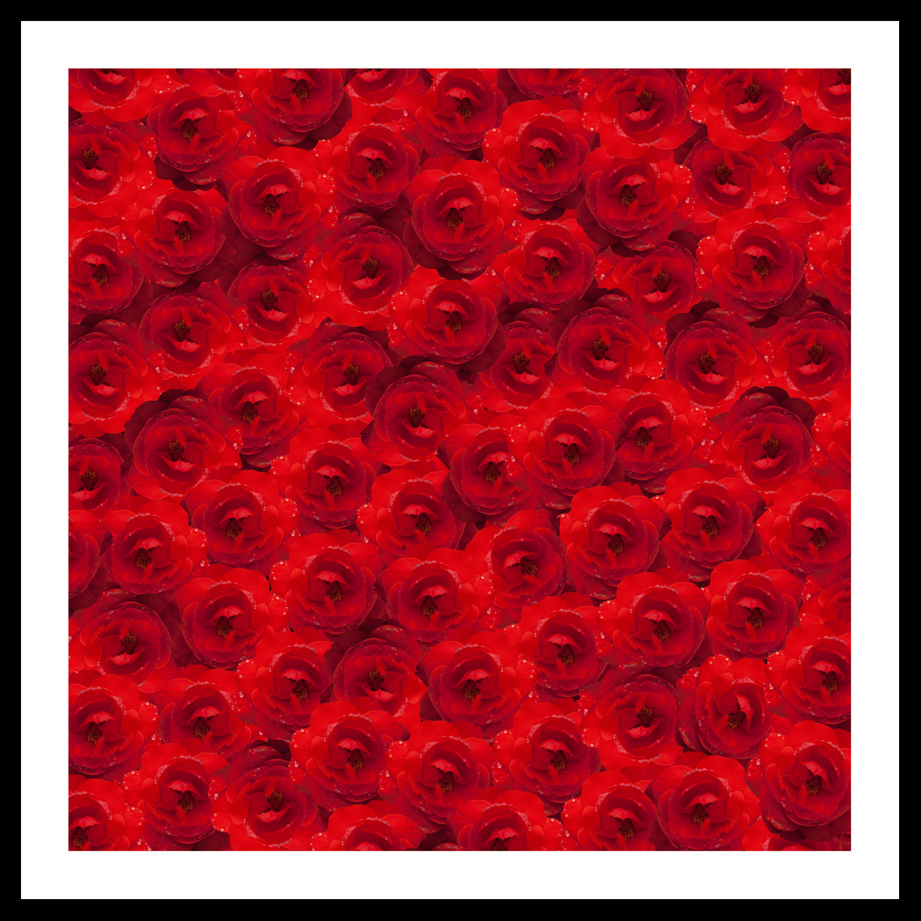 21_Red_Roses-Edit