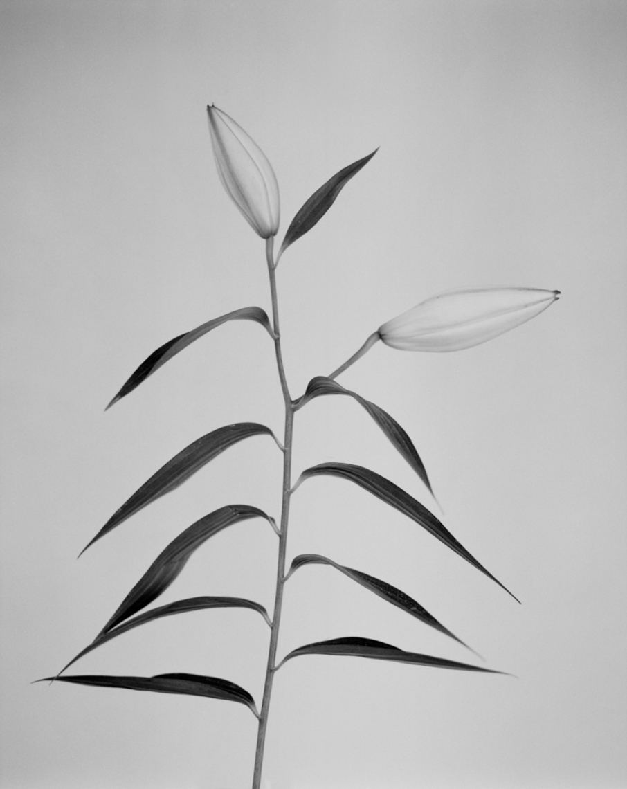 untitled-21