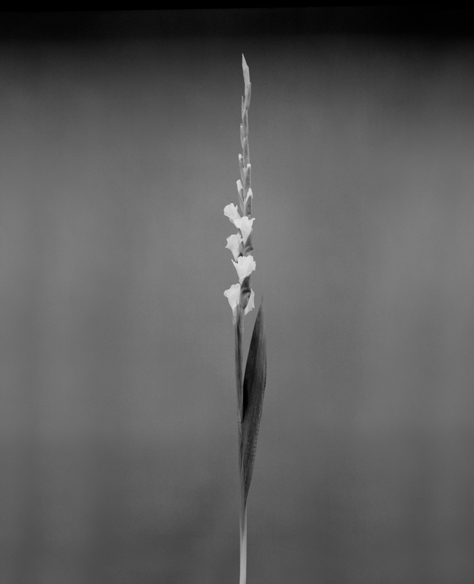 untitled-37